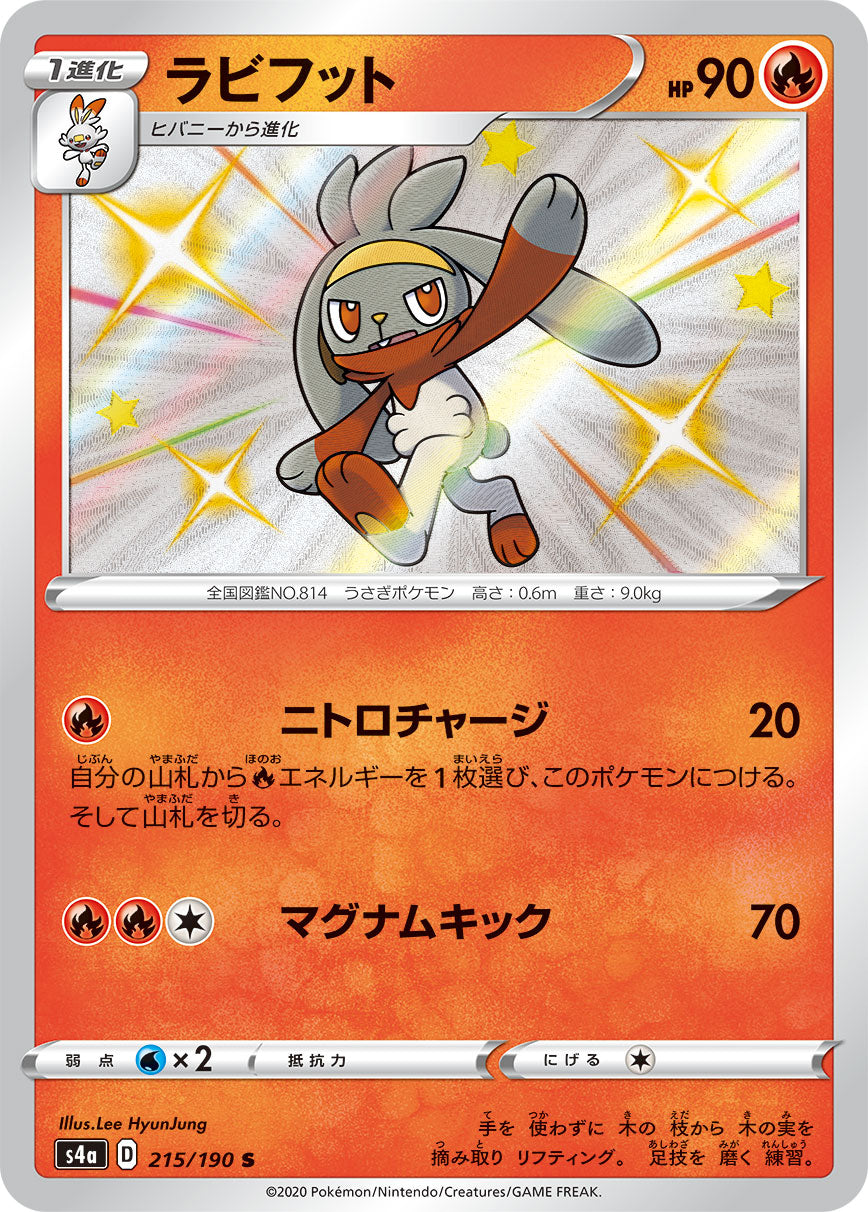 Raboot [s4a 215/190] S (Different colors)