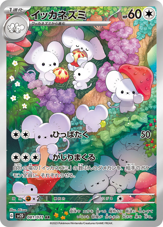 Maushold [sv2D 081/071] AR