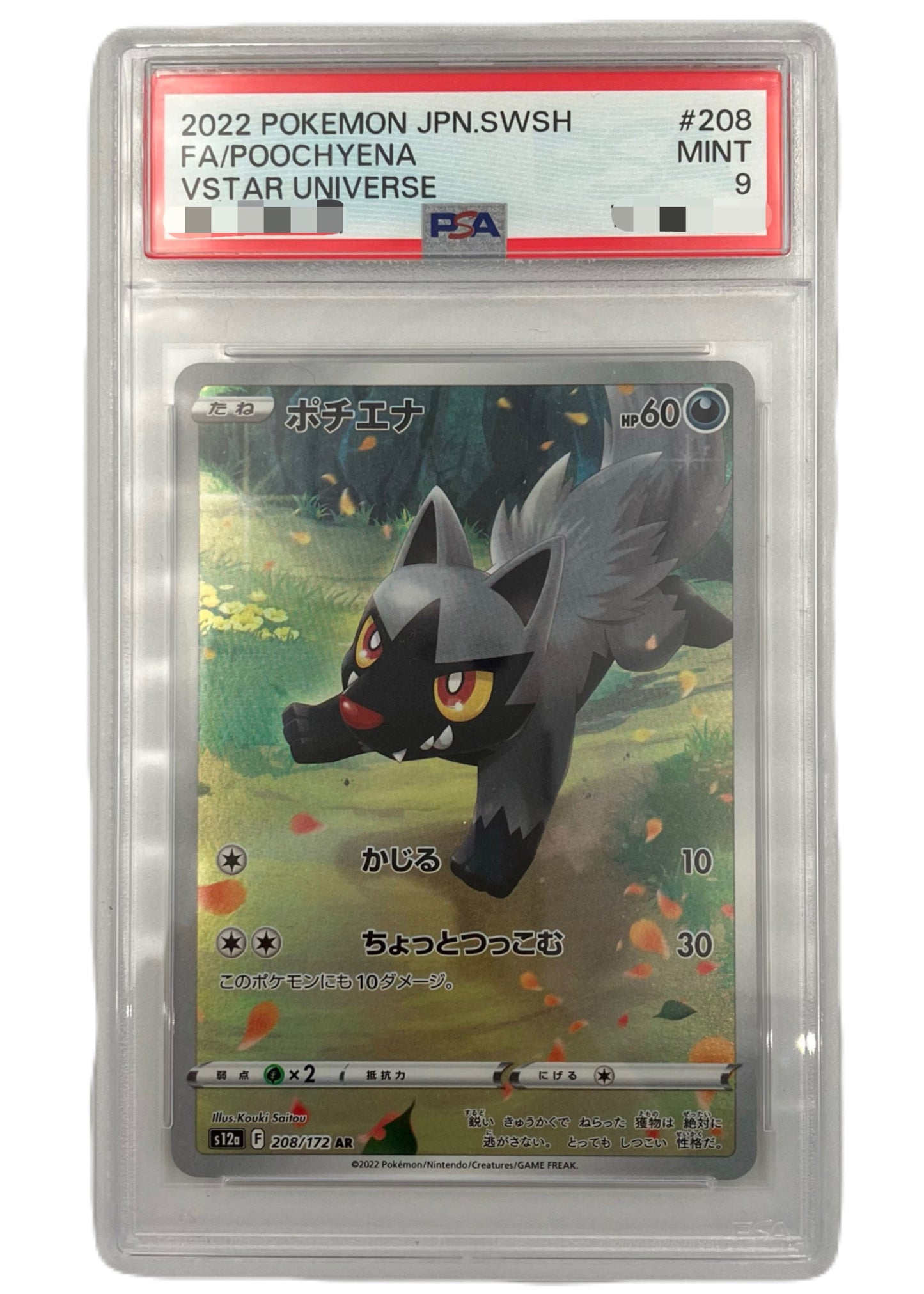 【PSA9】Poochyena [s12a 208/172] AR