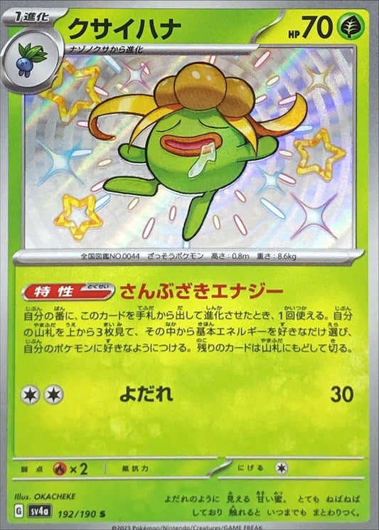 Gloom [sv4a 192/190] S (Different colors)