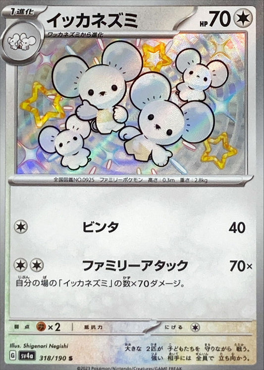 Maushold [sv4a 318/190] S (Different colors)