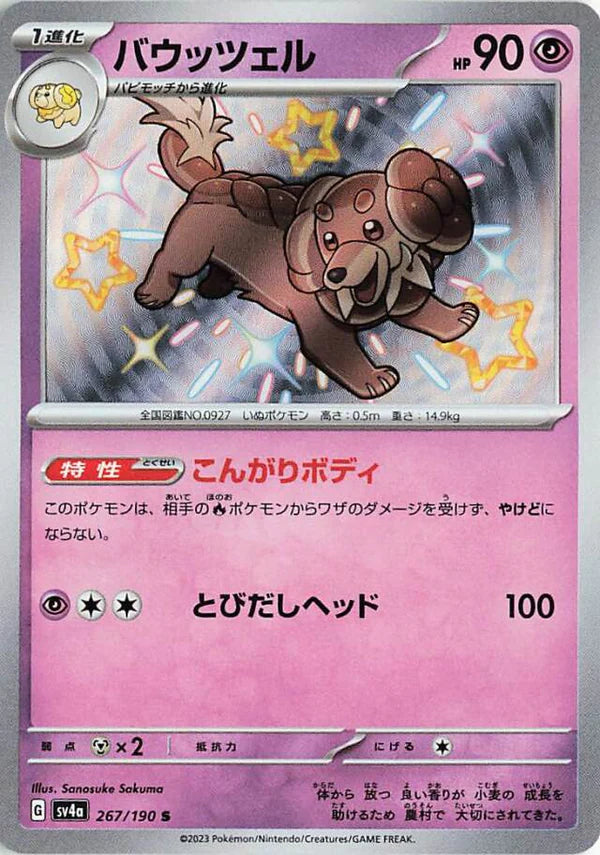 Dachsbun [sv4a 267/190] S (Different colors)